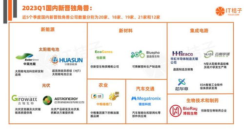 2023第一季度國內(nèi)貿(mào)易代理獨(dú)角獸崛起 資本力量與行業(yè)新秀